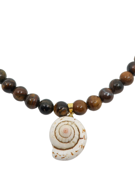 Tiger Shell