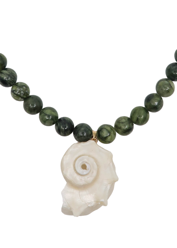 Selva Shell