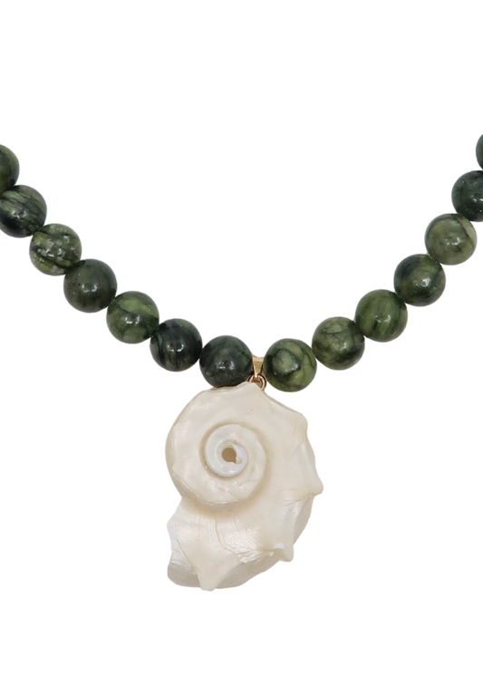 Selva Shell