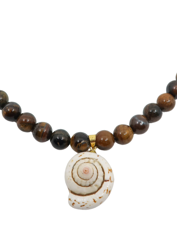Tiger Shell