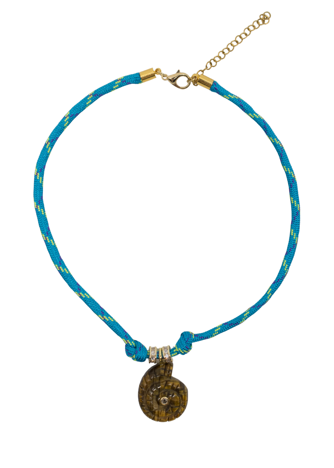 Lagoon tiger shell