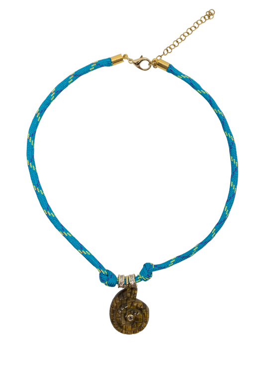 Lagoon tiger shell
