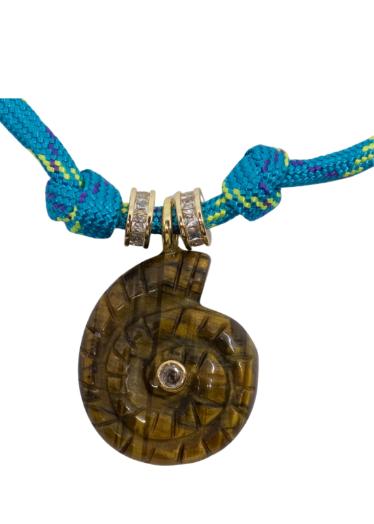 Lagoon tiger shell
