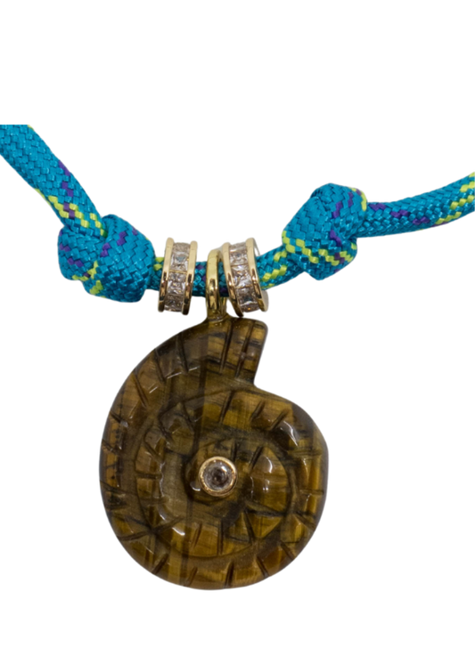 Lagoon tiger shell