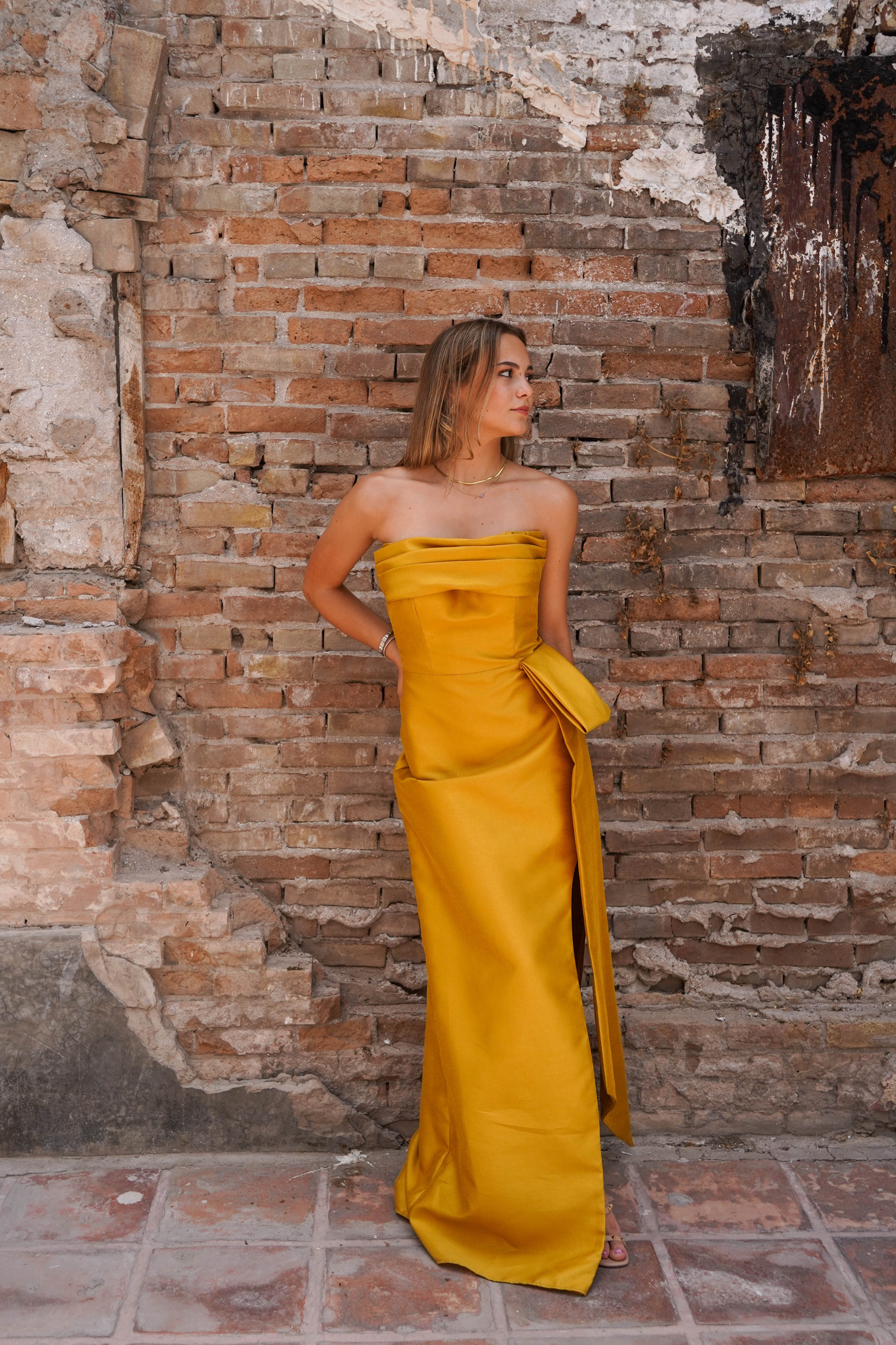 Elena Bun Strapless Dress